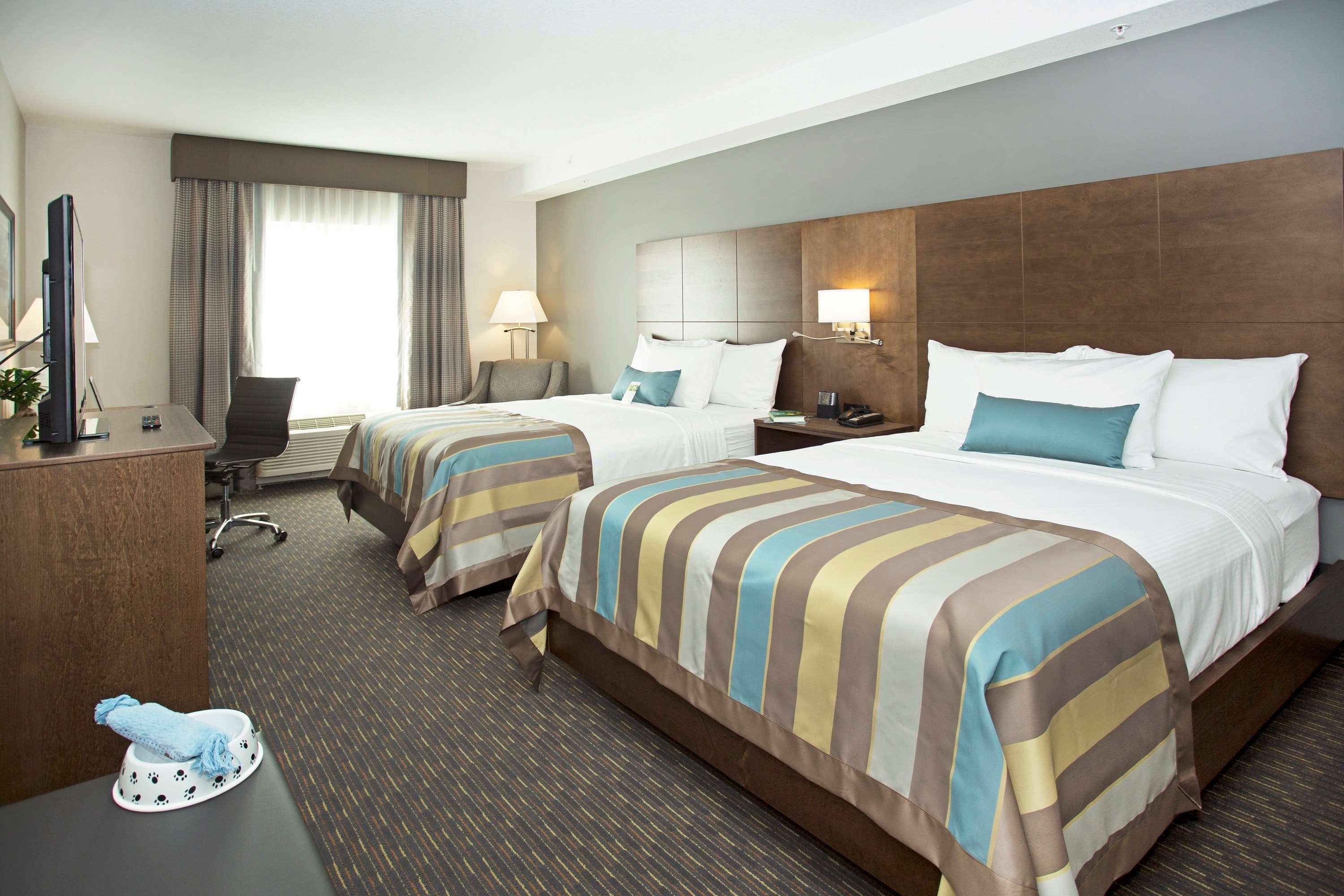Wingate By Wyndham Calgary Airport Hotel Bagian luar foto